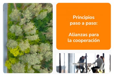 Valores cooperativos